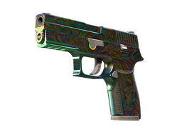P250 StatTrak™ | Visiones (Casi nuevo)